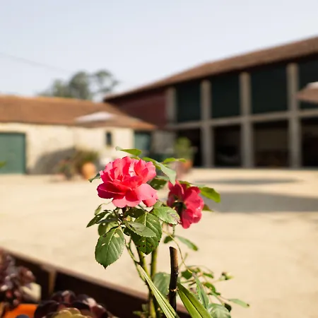 Casa Mindela Πανσιόν