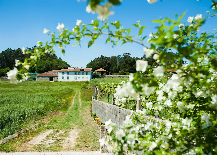 Pensión Casa Mindela