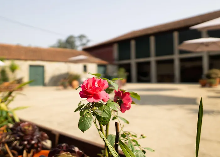 Casa Mindela Pensión