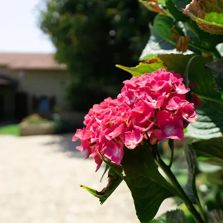 Casa Mindela Guest house Giao (Porto)