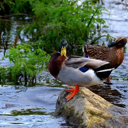 Casa Mindela بيت ضيافة 4*