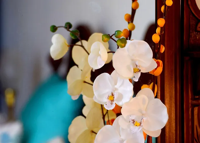 Casa Mindela Pensjonat 4*